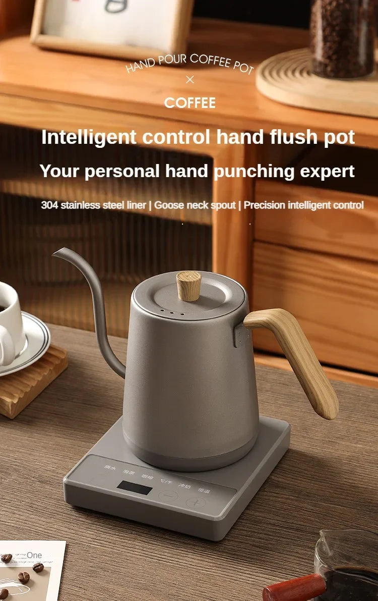 1000W Gooseneck Electric Coffee Kettle