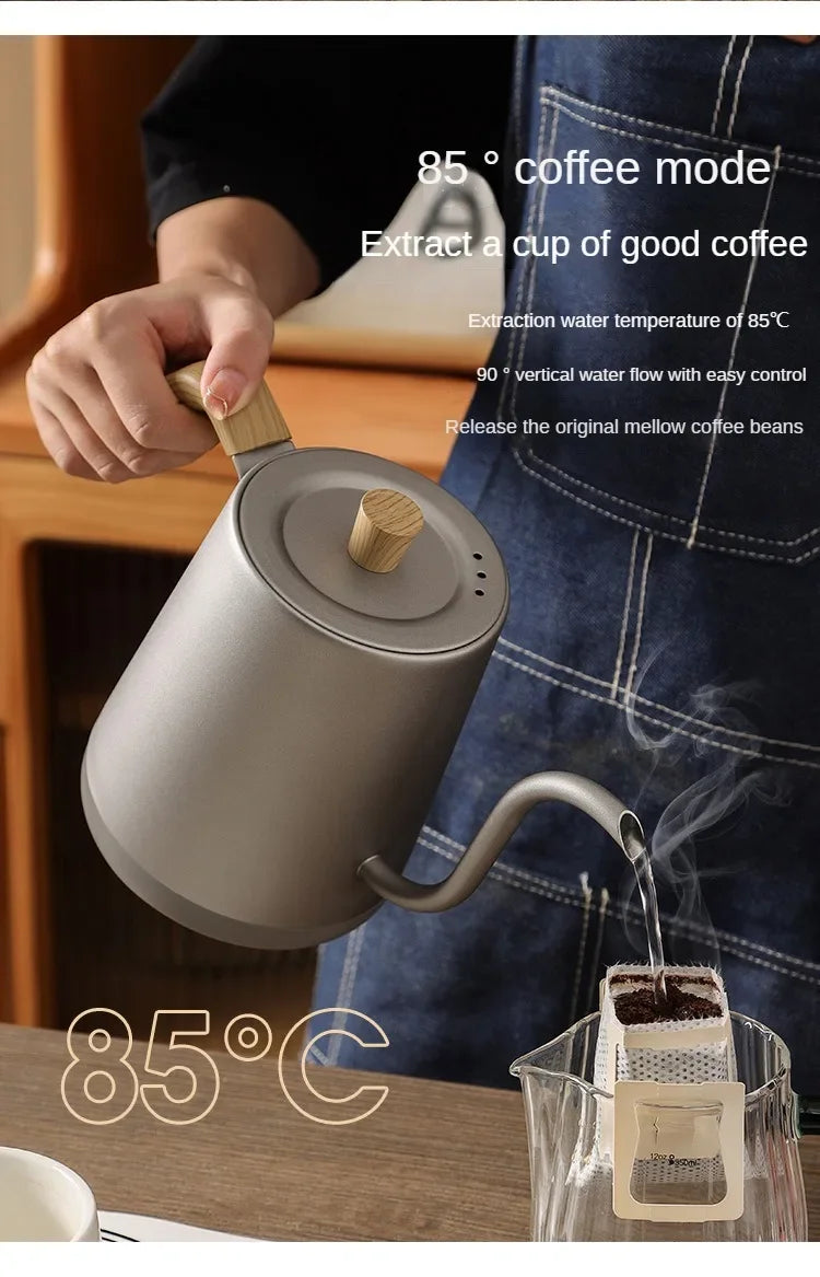 1000W Gooseneck Electric Coffee Kettle