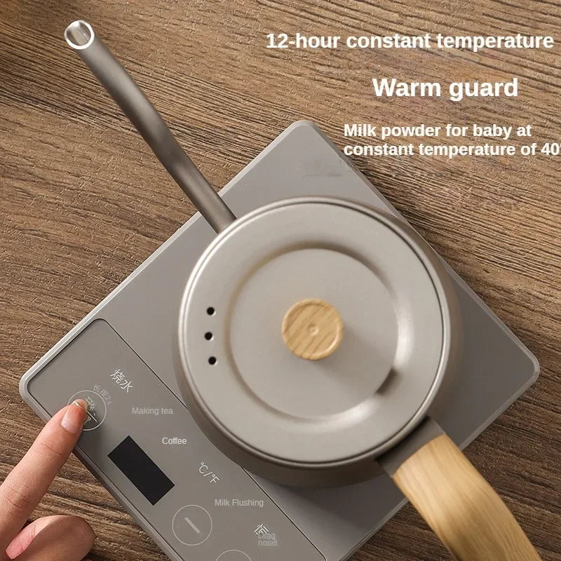 1000W Gooseneck Electric Coffee Kettle
