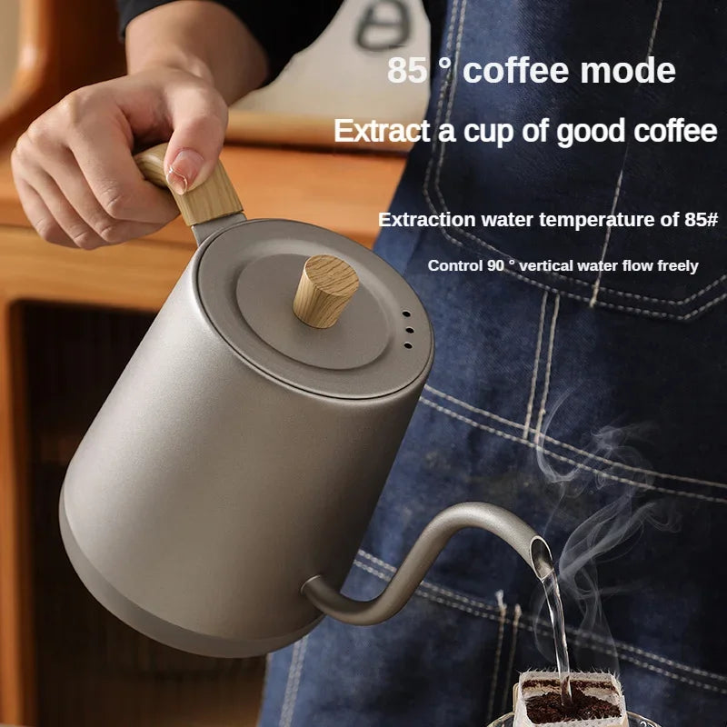 1000W Gooseneck Electric Coffee Kettle