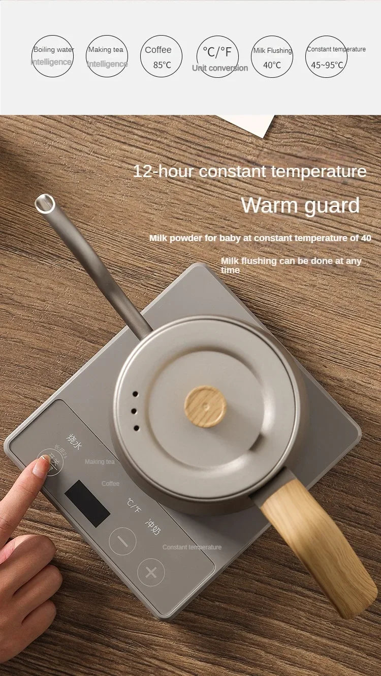 1000W Gooseneck Electric Coffee Kettle