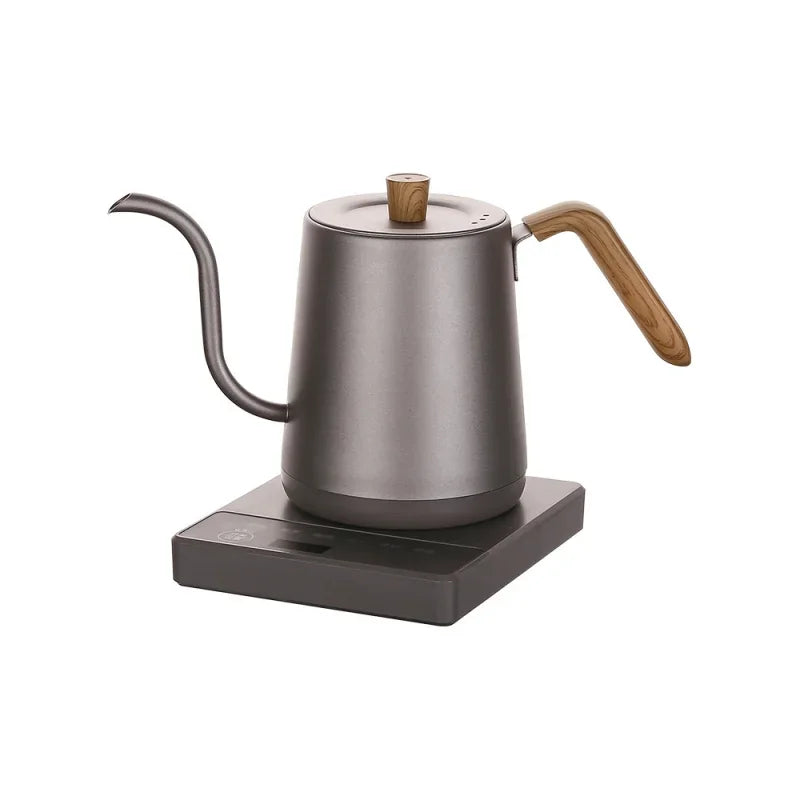 1000W Gooseneck Electric Coffee Kettle