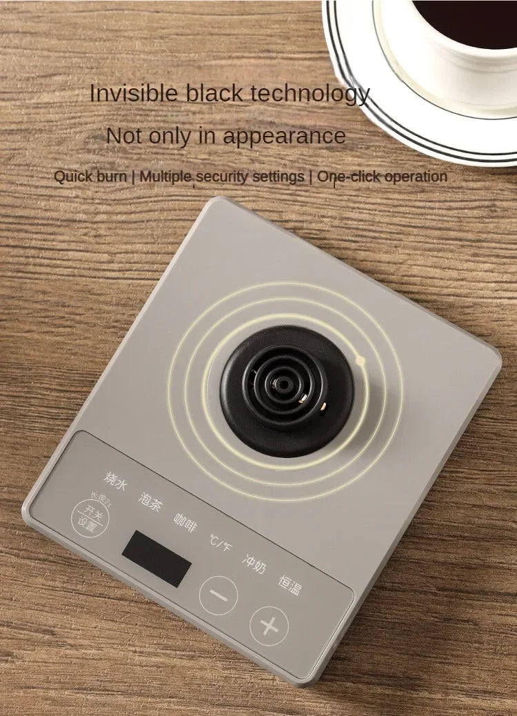 1000W Gooseneck Electric Coffee Kettle