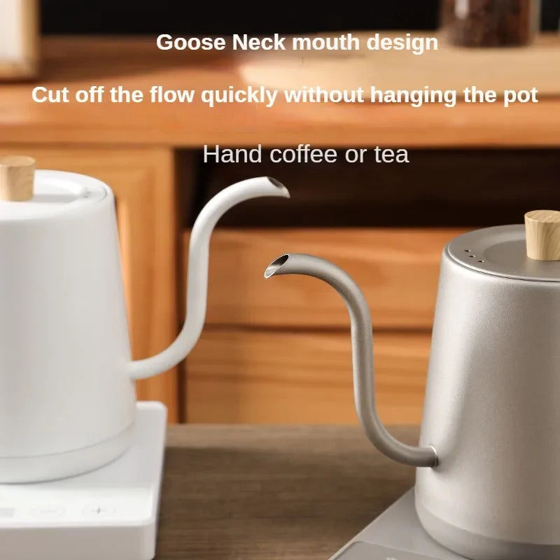 1000W Gooseneck Electric Coffee Kettle