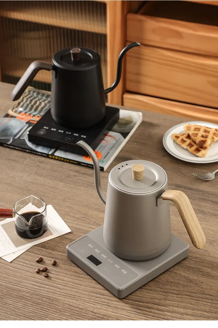 1000W Gooseneck Electric Coffee Kettle