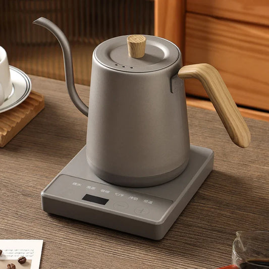 1000W Gooseneck Electric Coffee Kettle