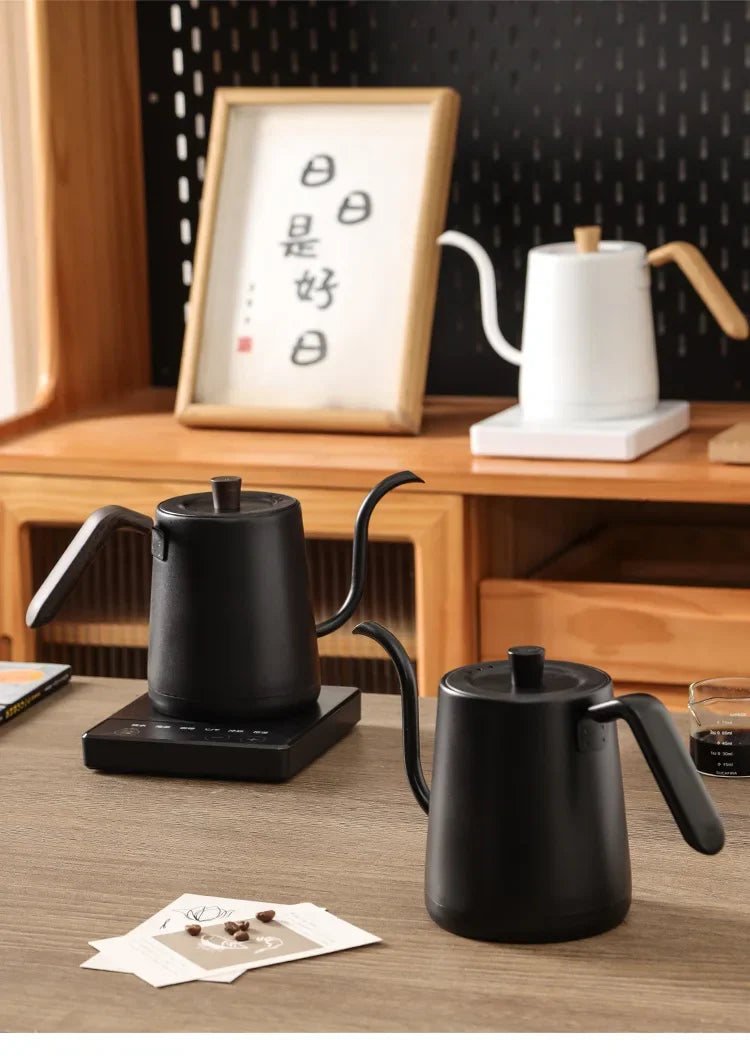 1000W Gooseneck Electric Coffee Kettle