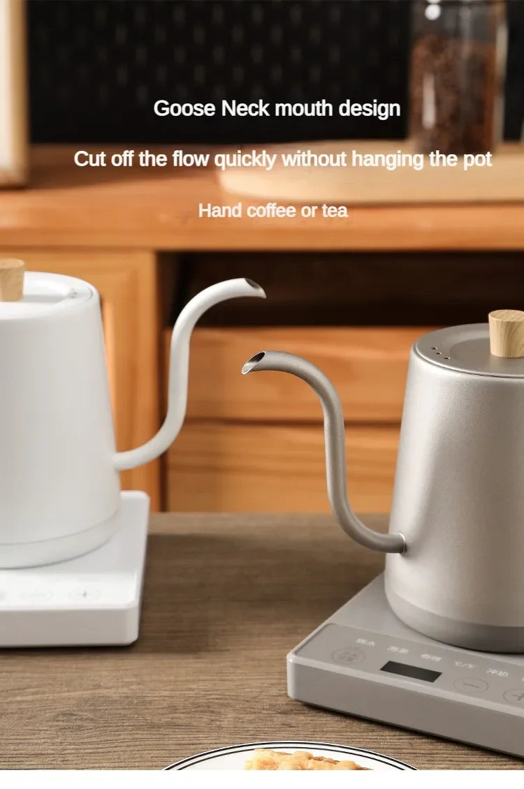 1000W Gooseneck Electric Coffee Kettle