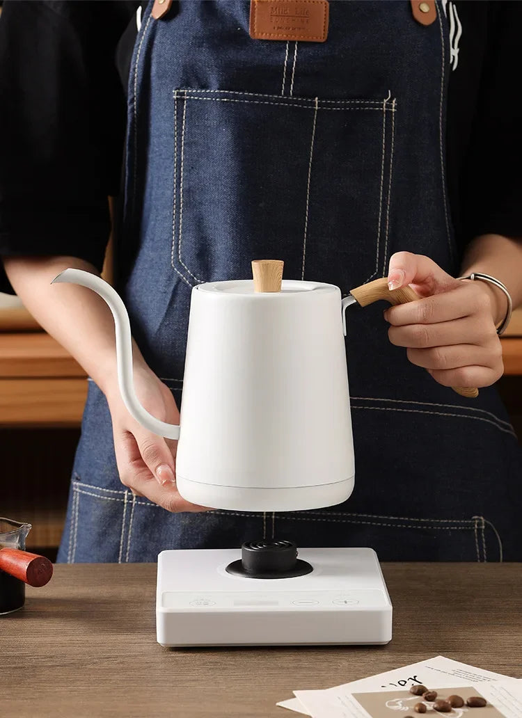 1000W Gooseneck Electric Coffee Kettle