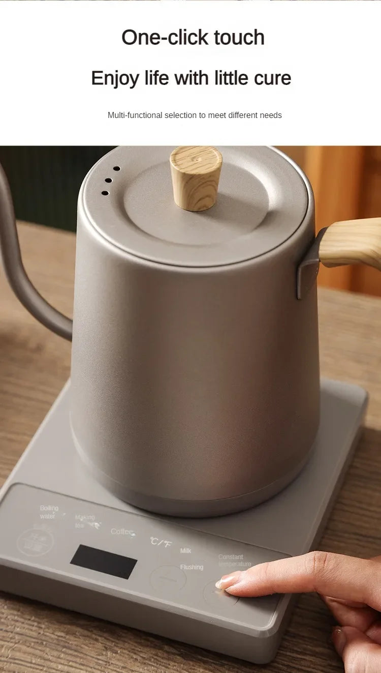 1000W Gooseneck Electric Coffee Kettle